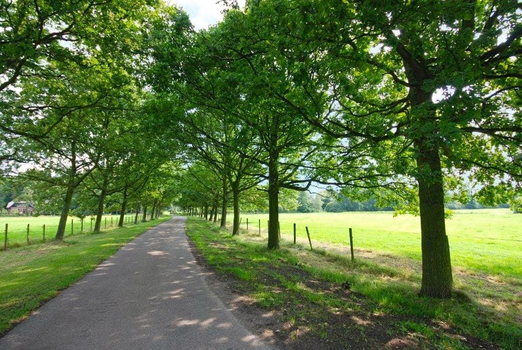 Buurtweg 42, 2244 AE Wassenaar - Foto 2