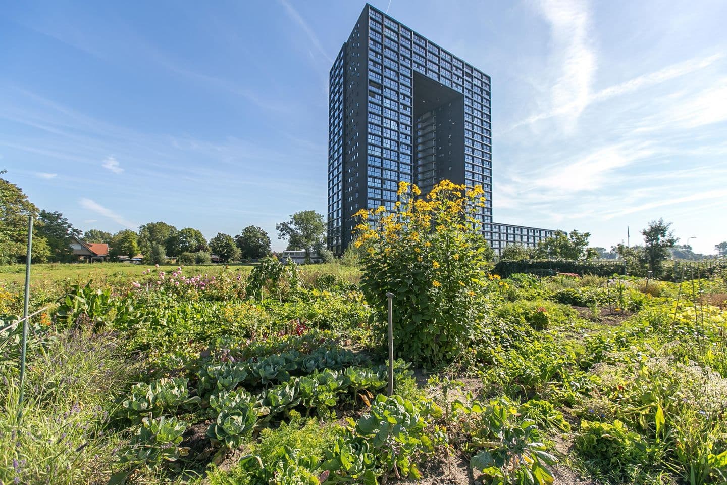 Regattaweg 322, 9731 ND Groningen - Foto 1