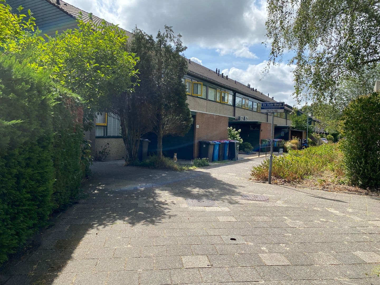 de Oude Bleijk