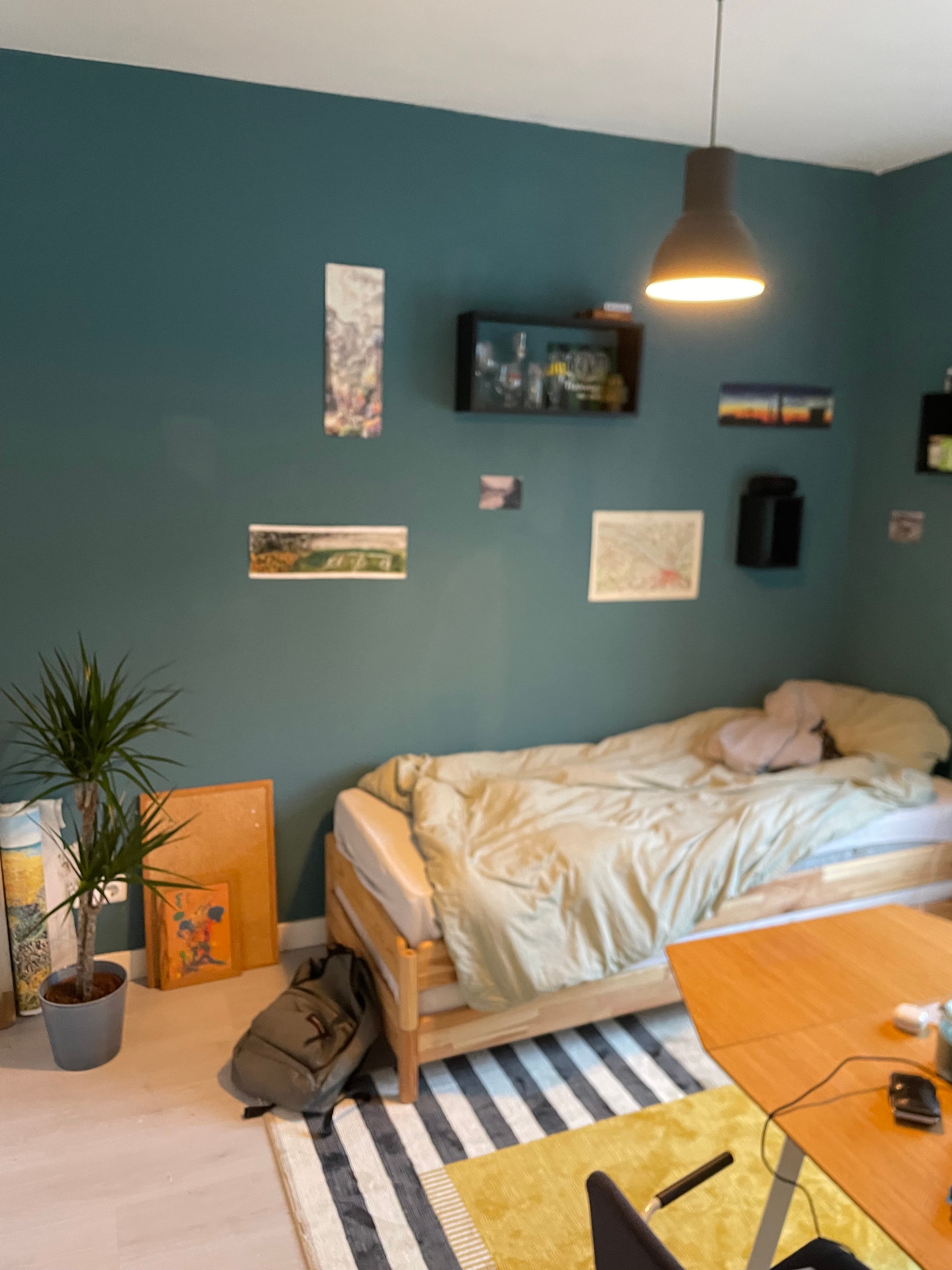 Daalseweg 297, 6523 CA Nijmegen - Foto 1