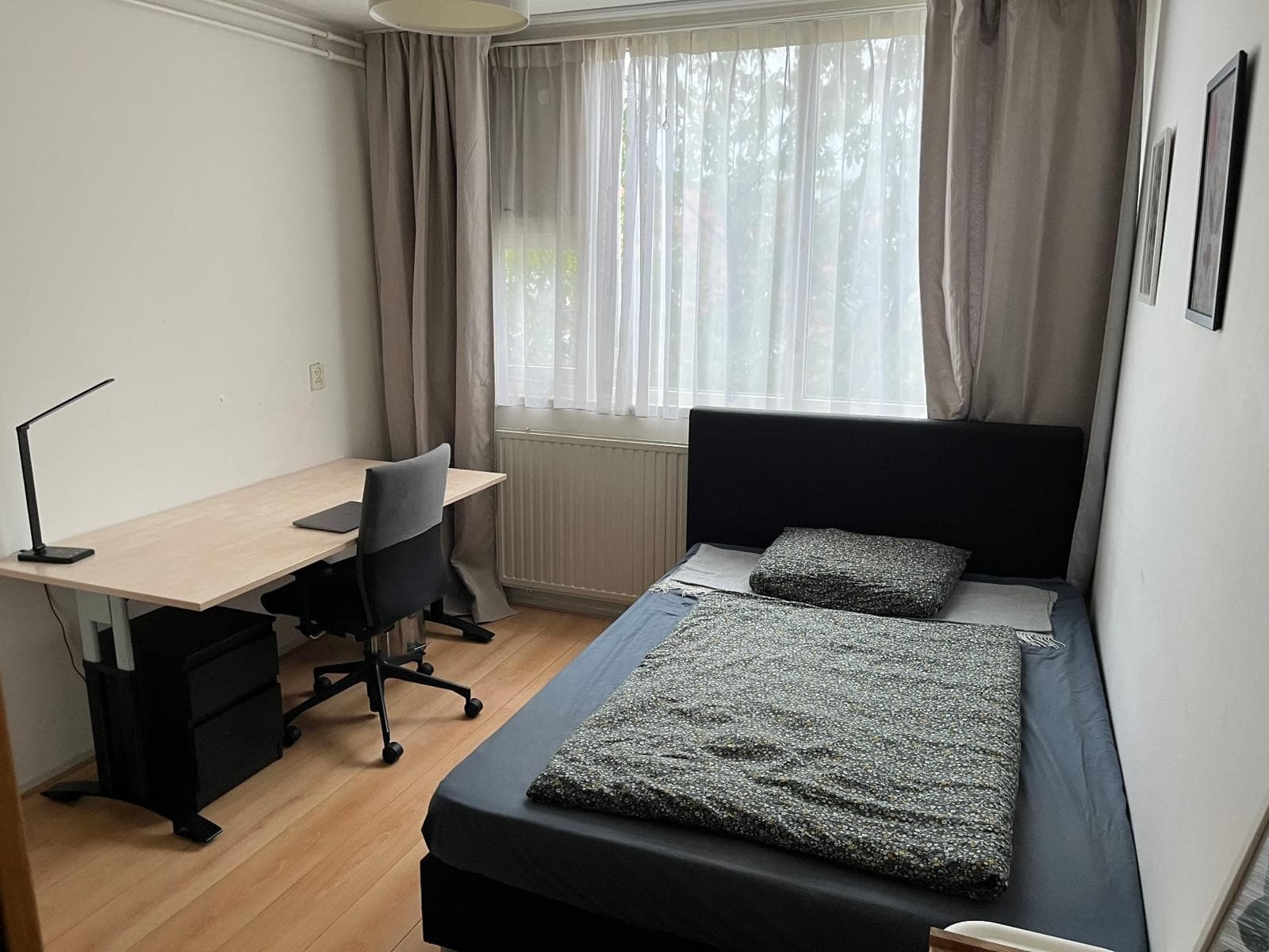 Havikskruid, Diemen - Foto 1