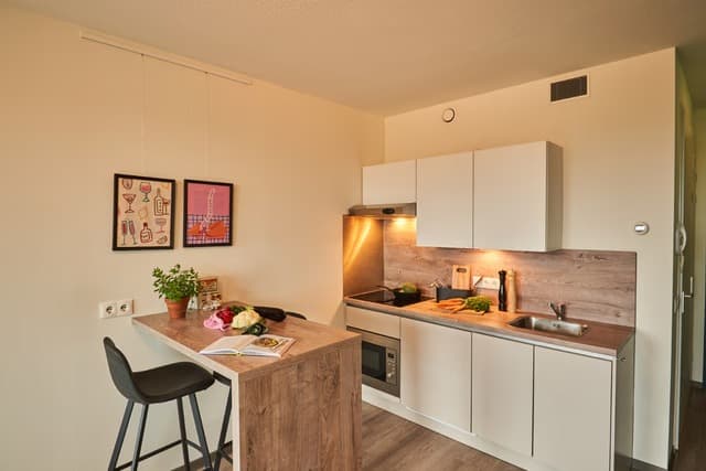 Van Heuven Goedhartplein 205, 3527 DK Utrecht - Foto 2
