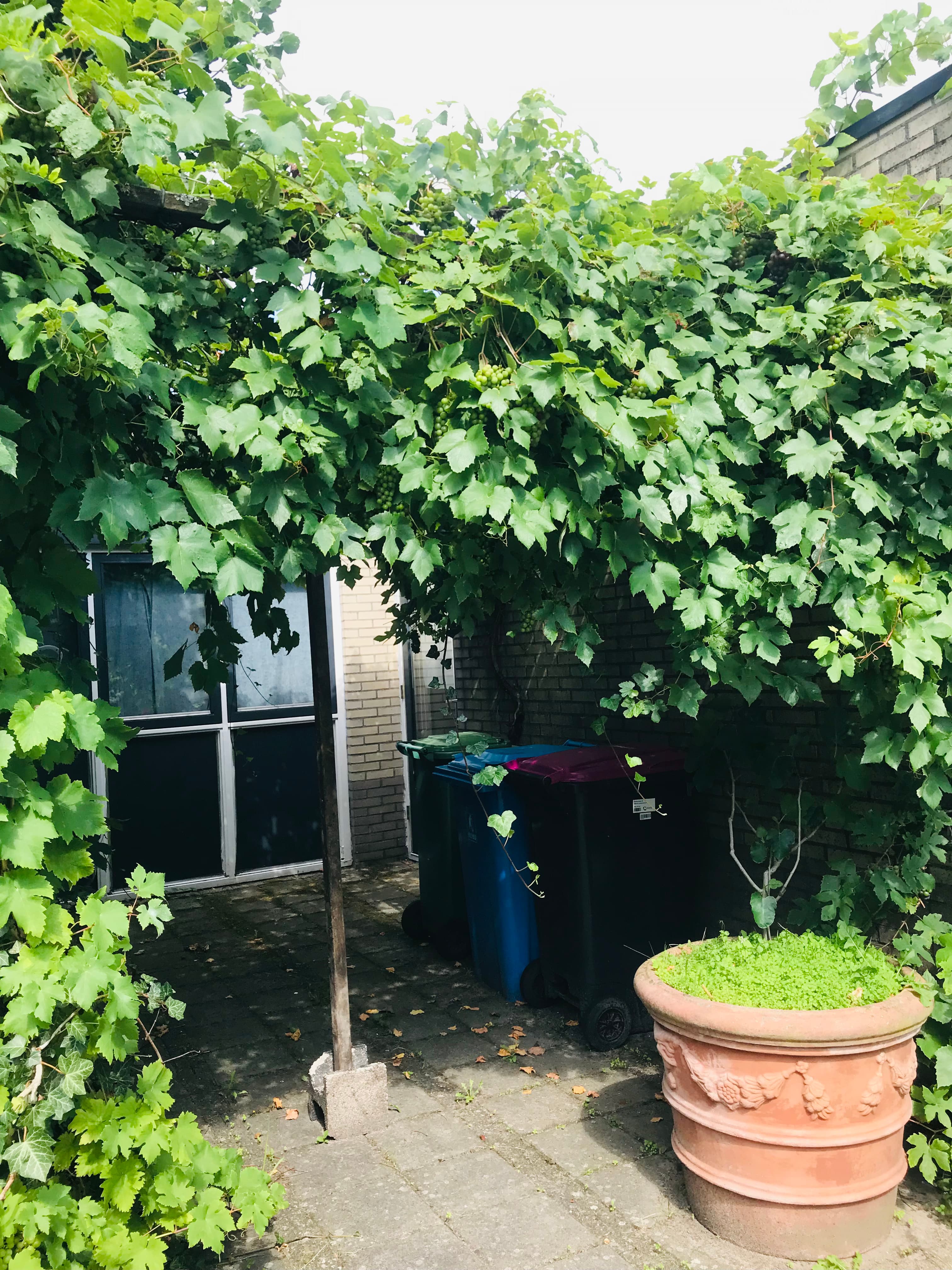 Maartensweer 18, 2265 DH Leidschendam - Foto 8