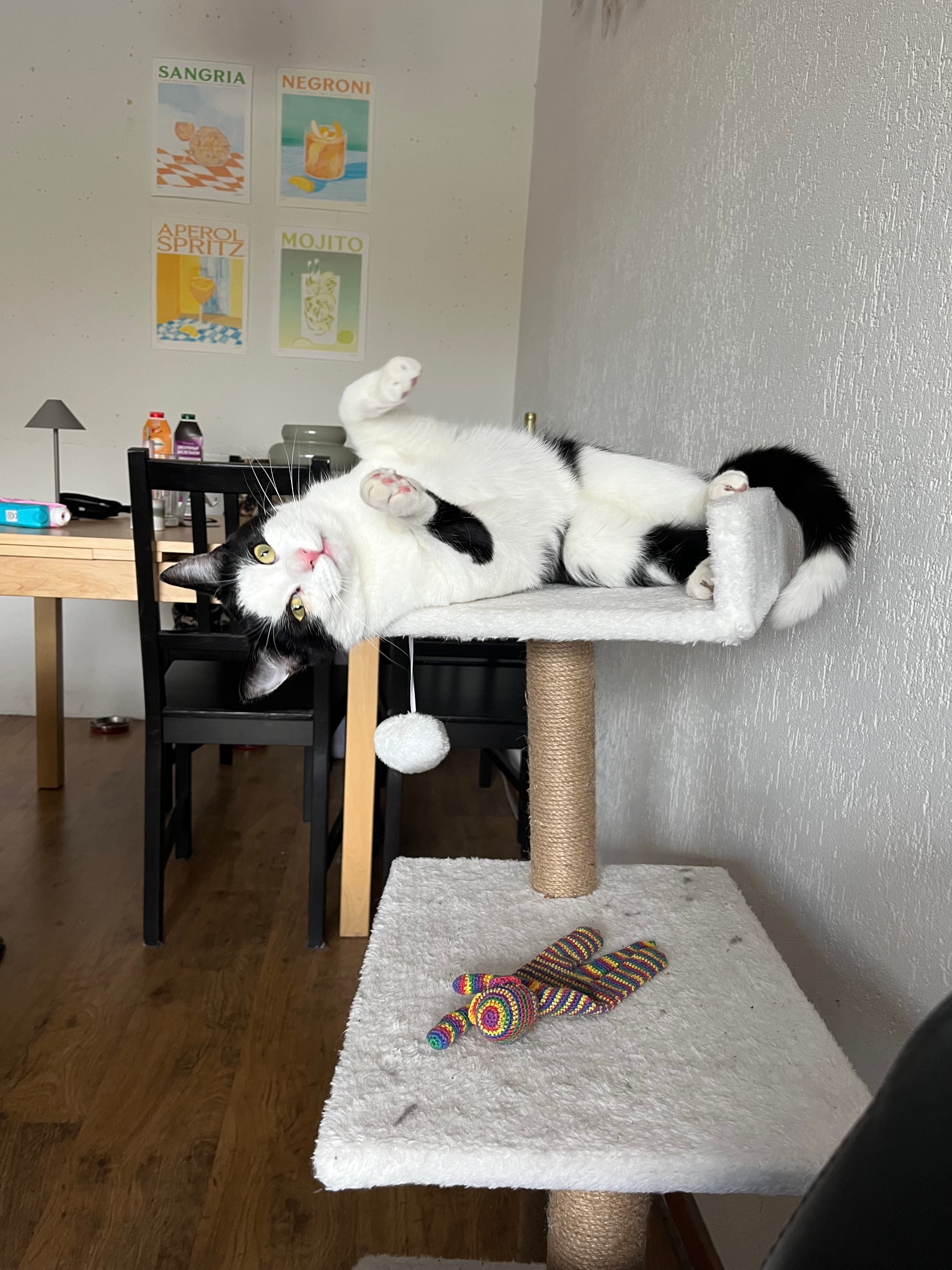 Bremstraat 33, 9741 EA Groningen - Foto 5