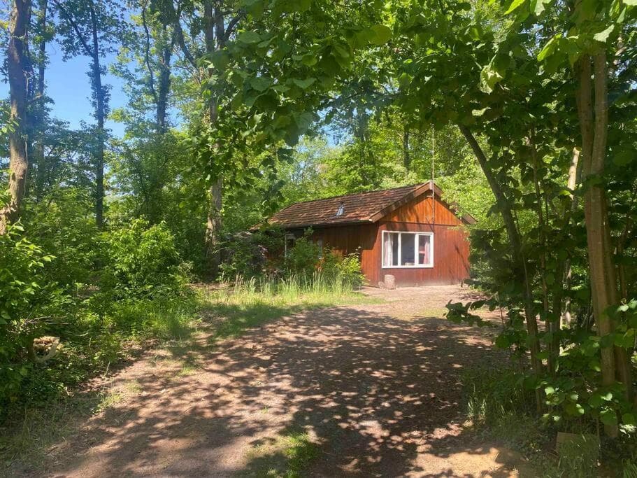 Marsdijk 3a, 7736 PL Beerze - Foto 1