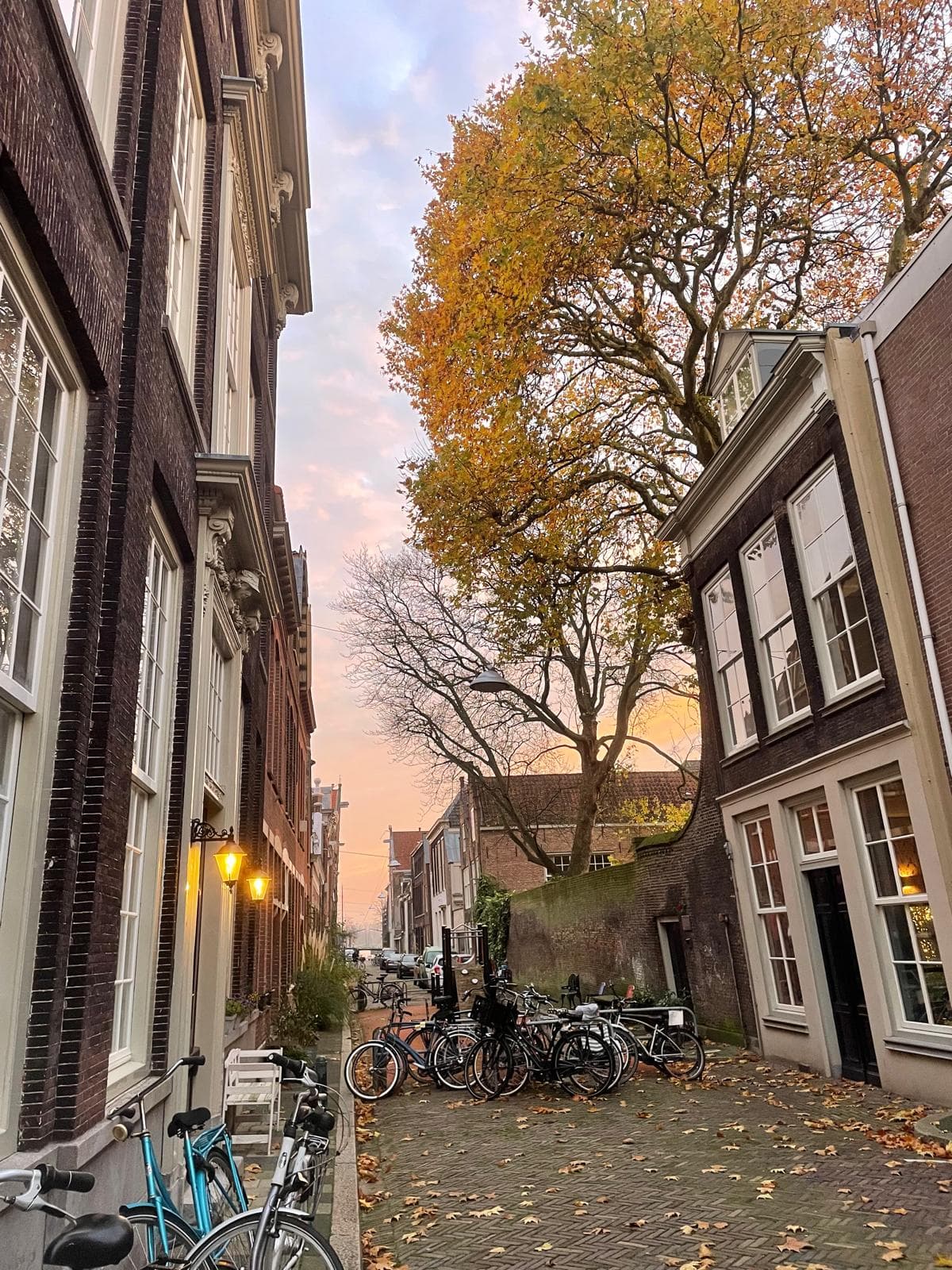 Hoge Nieuwstraat 81, 3311 AJ Dordrecht - Foto 4