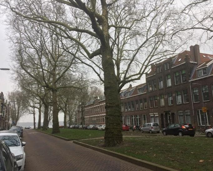 Jericholaan, Rotterdam - Foto 1
