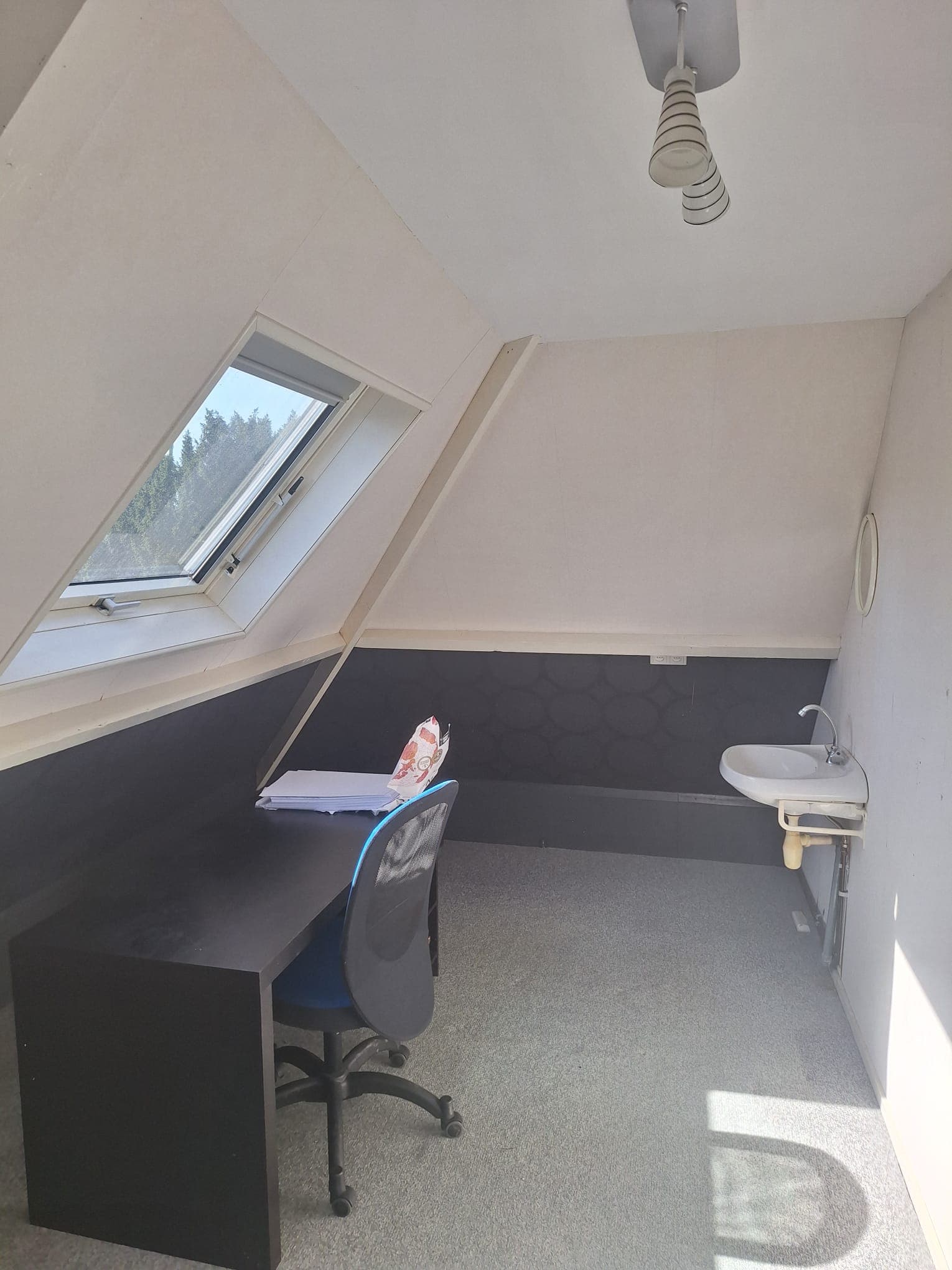 Veluviaweg 12, 6703 AJ Wageningen - Foto 3