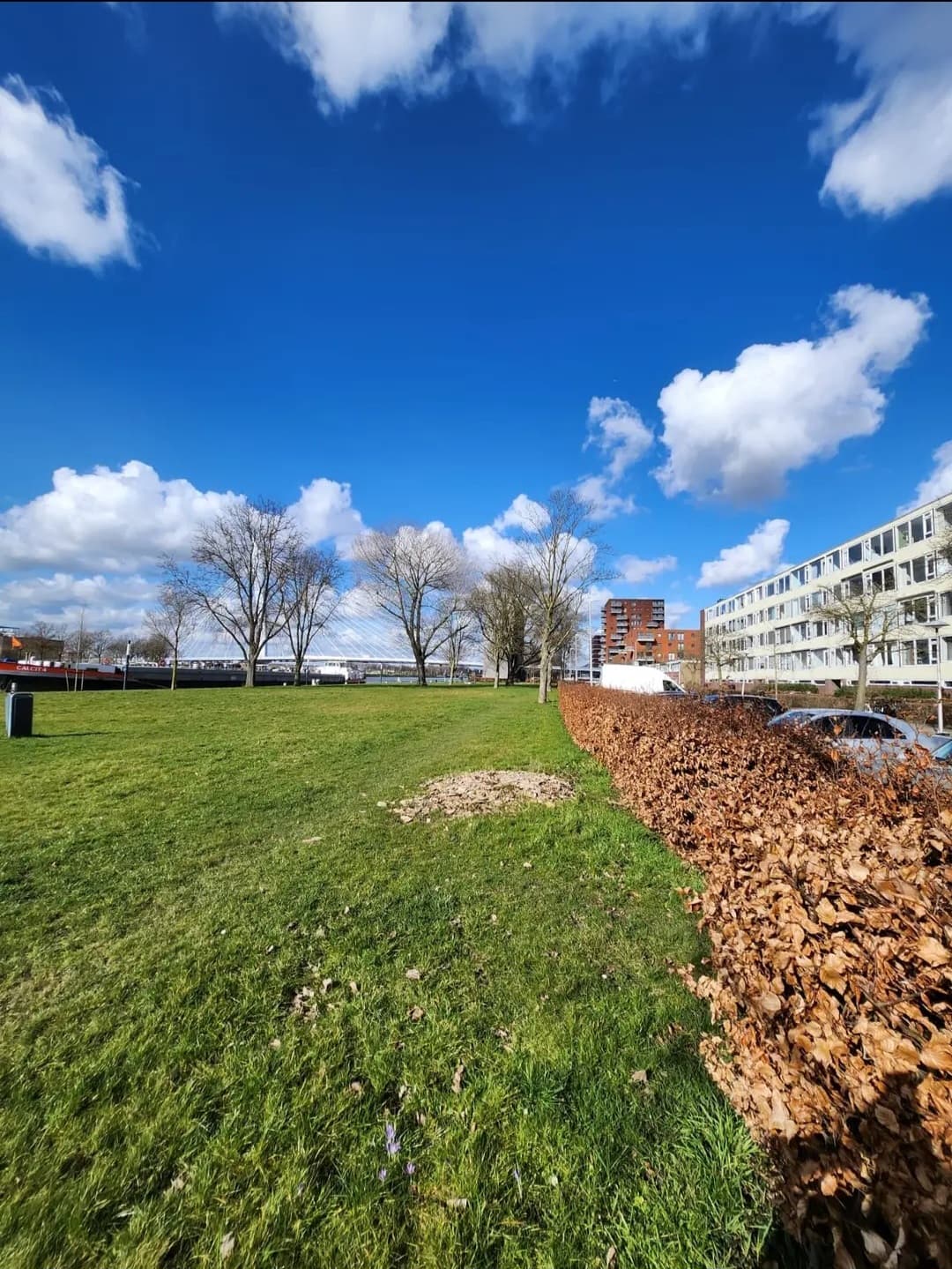 Rooseveltlaan 646, 3526 BH Utrecht - Foto 2