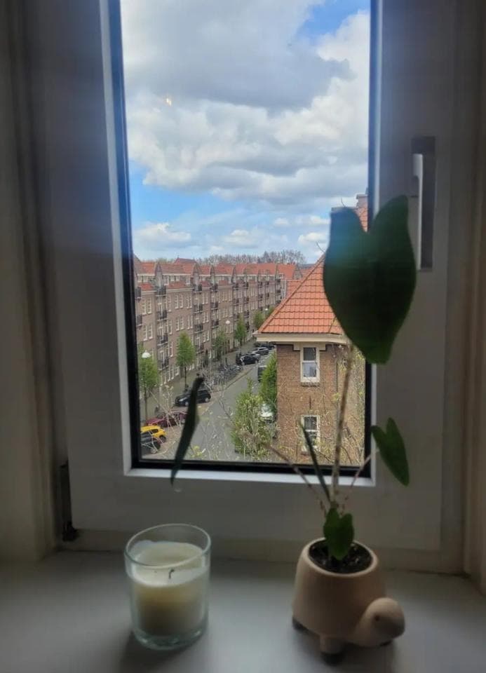Hembrugstraat 249, 1013 XD Amsterdam - Foto 8
