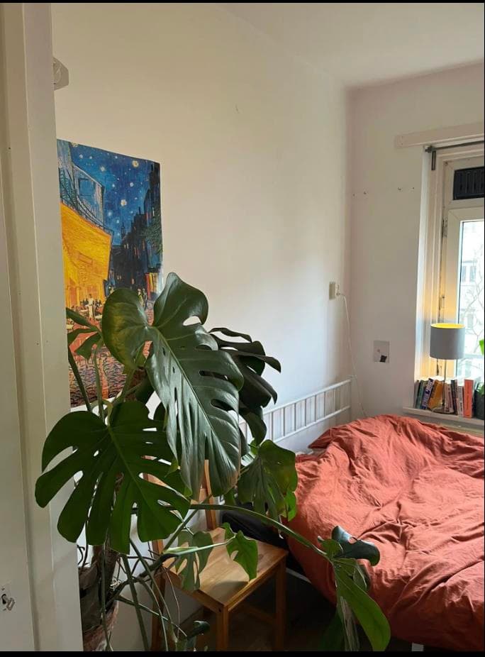 Erik de Roodestraat 3, 1056 AJ Amsterdam - Foto 7