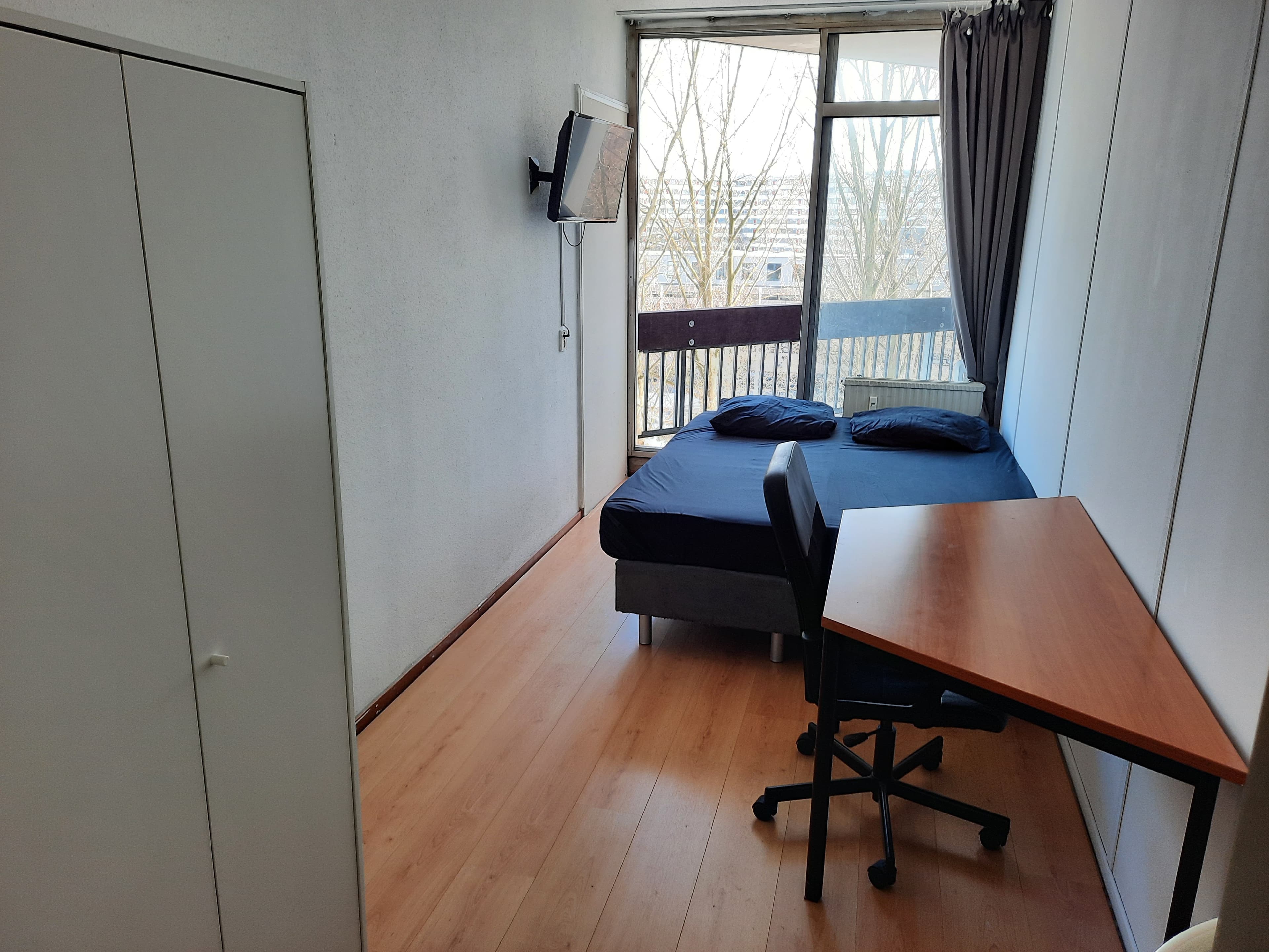 Gouden Leeuw, Amsterdam - Foto 1