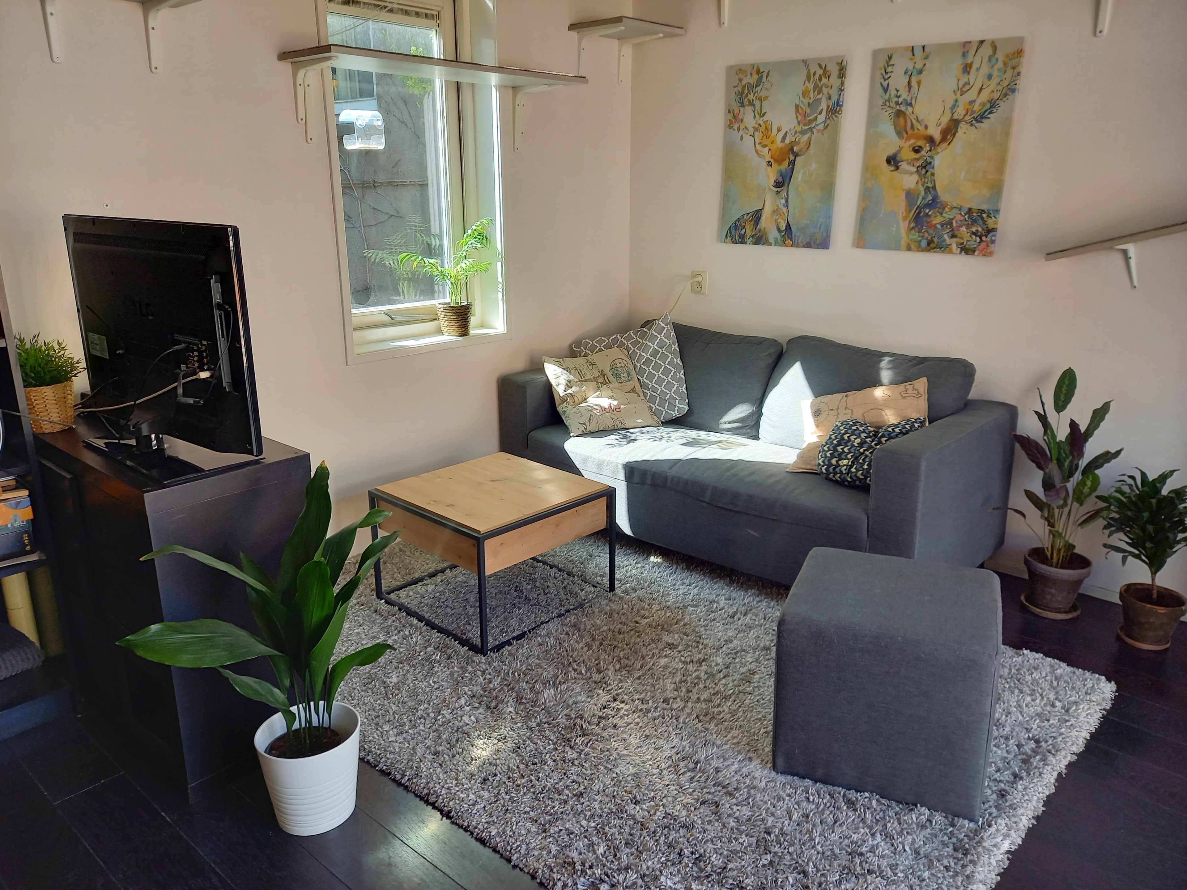 Kromme Nieuwegracht 23, 3512 HD Utrecht - Foto 3