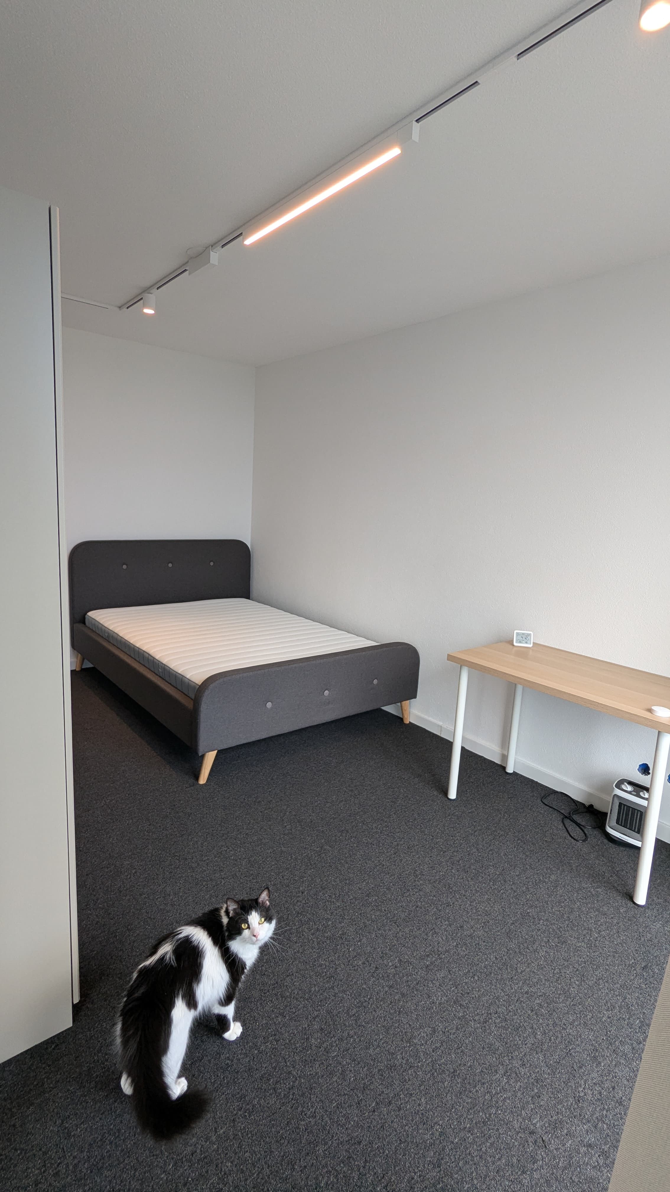 Brielselaan 24, 3081 LB Rotterdam - Foto 3