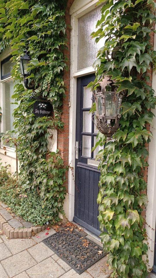 Zuiderstraat, Helmond - Foto 1