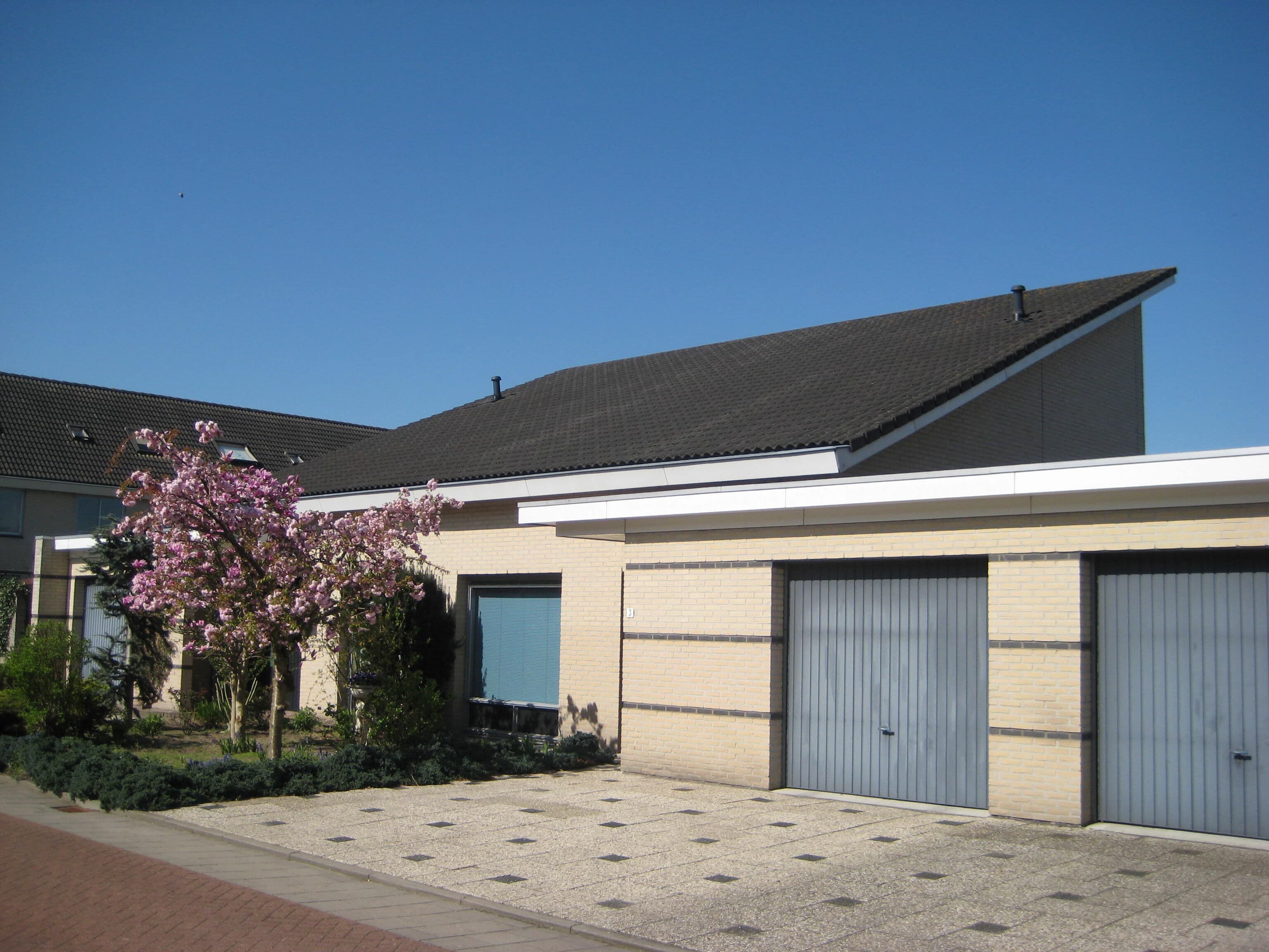 Wespeorchis, Veenendaal - Foto 1